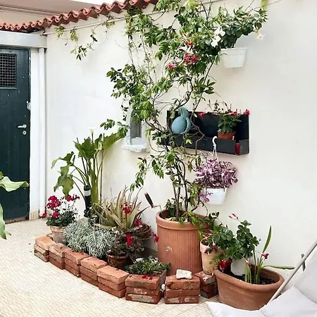 Deephouse Vicino Al Mare Con Giardino - Pacchetti Per Bellissima Con Piscina Su Richiesta Holiday home *