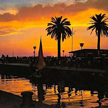 Deephouse Vicino Al Mare Con Giardino - Pacchetti Per Bellissima Con Piscina Su Richiesta Viareggio