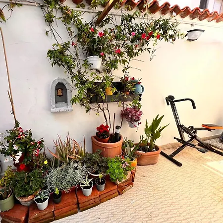Deephouse Vicino Al Mare Con Giardino - Pacchetti Per Bellissima Con Piscina Su Richiesta